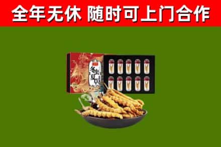 滨州市回收冬虫夏草价格